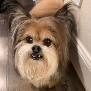 Meet your Posher, Jamie